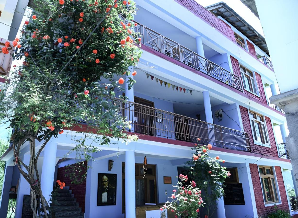Hostel Honey House *
