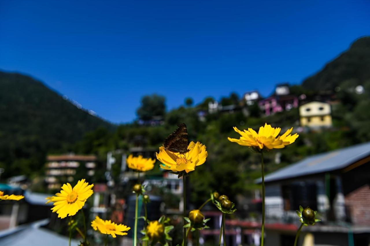 Honey House * Manali (Himachal Pradesh)