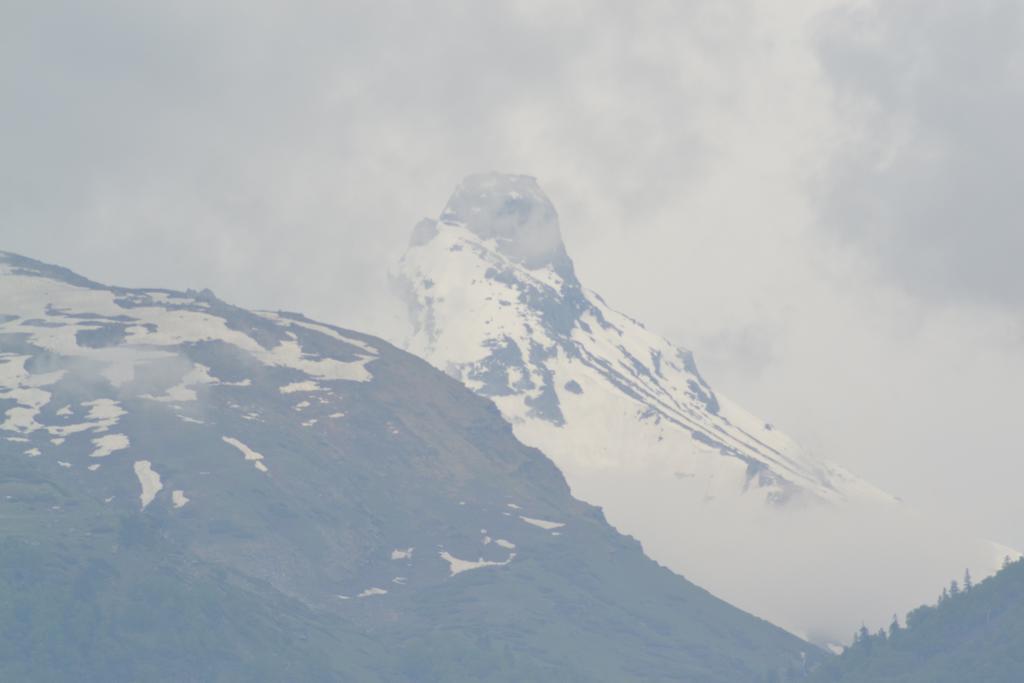 Inn The Pranjal Manali (Himachal Pradesh)