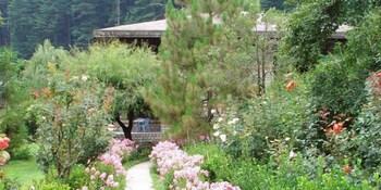 Resort Banon Manali (Himachal Pradesh)