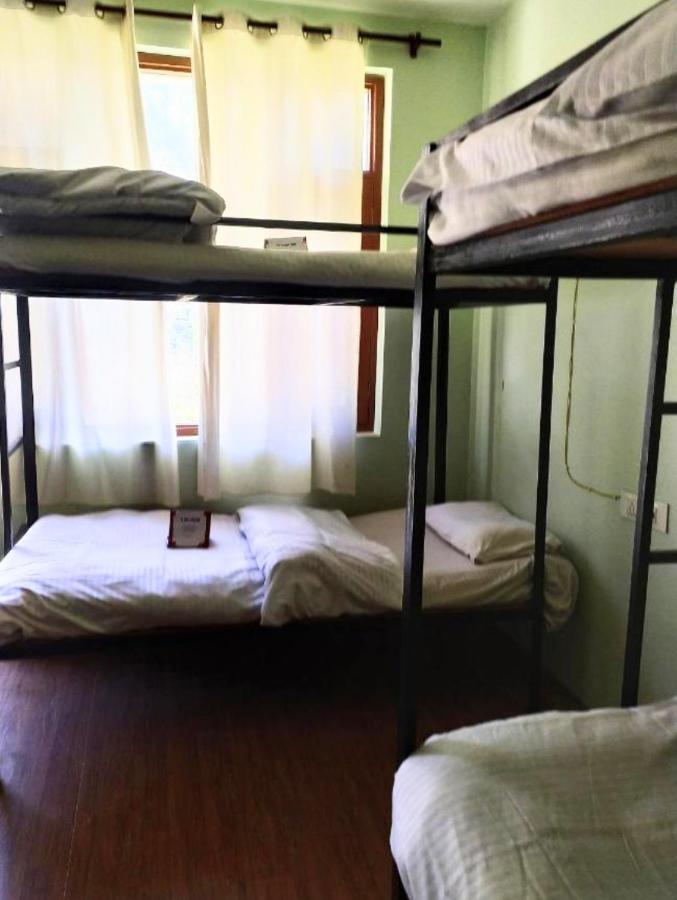 Farm & Camps Hostel Manali (Himachal Pradesh)