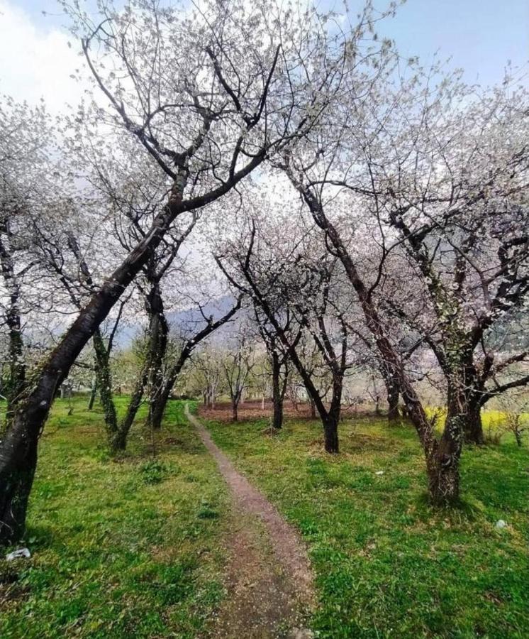 Farm & Camps * Manali (Himachal Pradesh)