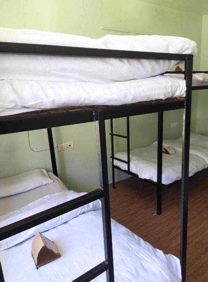 Farm & Camps Hostel