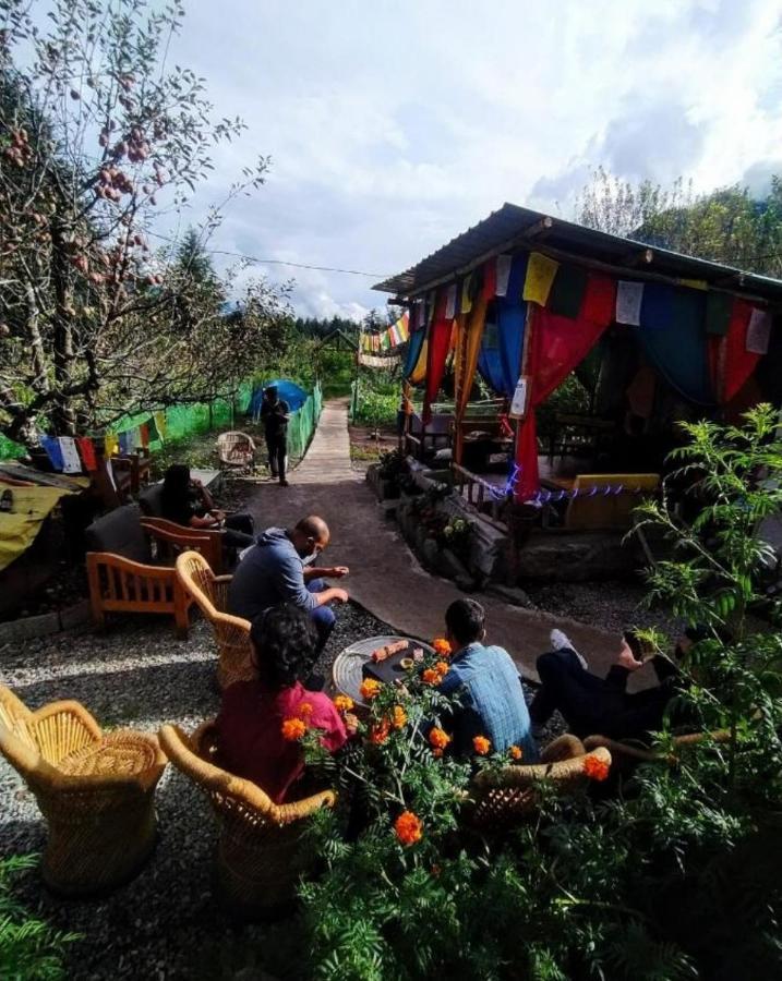 Hostel Farm & Camps *