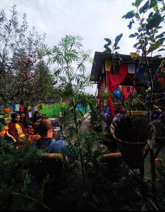 Farm & Camps Hostel Manali (Himachal Pradesh)