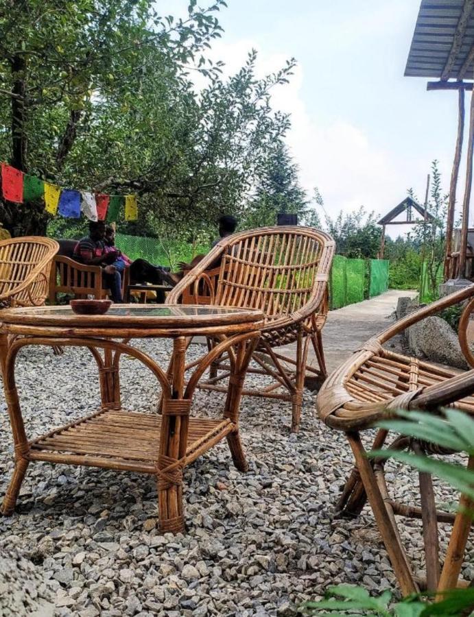Farm & Camps * Manali (Himachal Pradesh)