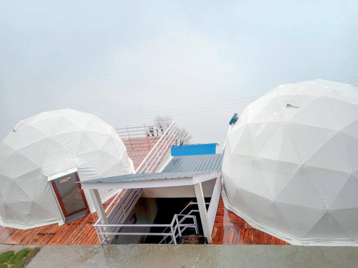 Hotel Mystic Heist And Cafe Manali (Himachal Pradesh)