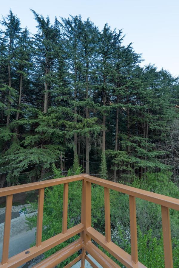International -vivaan Hotel Manali (Himachal Pradesh)