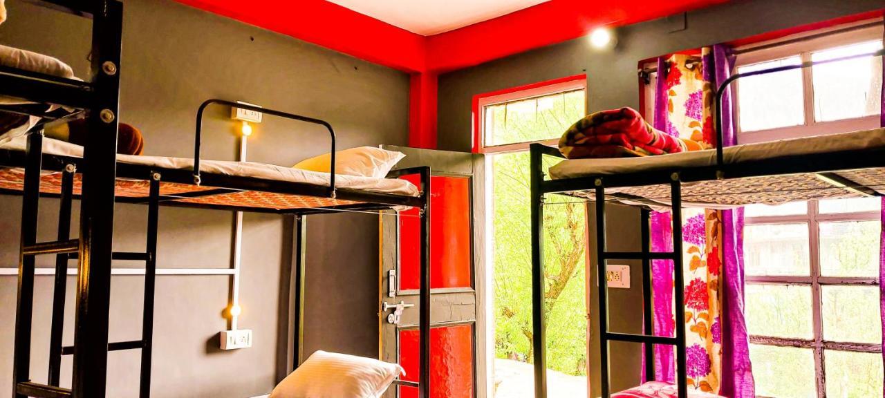 Hostel El Profesor Old *