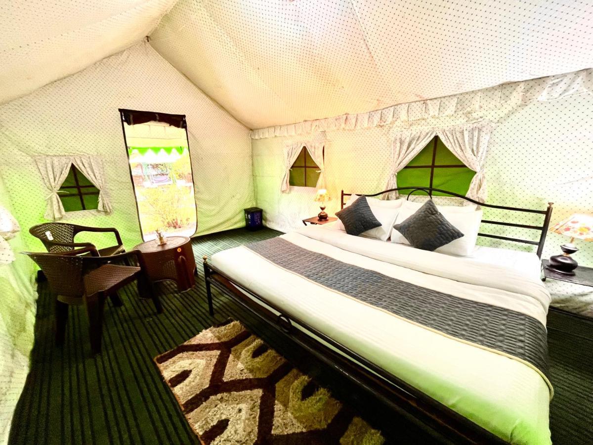 Himalayan Root Swiss Tents - Camping With Bonfire