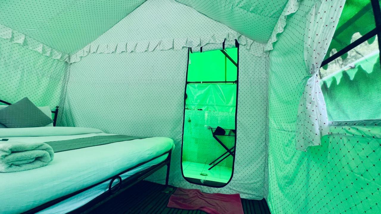 Himalayan Root Swiss Tents - Camping With Bonfire 4*