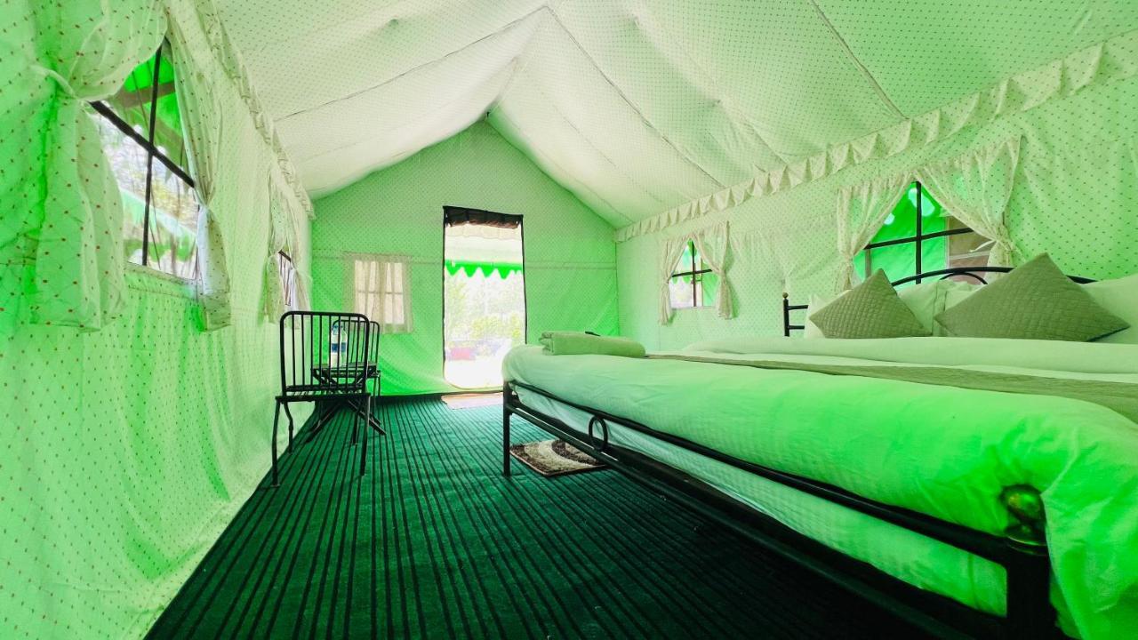 Himalayan Root Swiss Tents - Camping With Bonfire