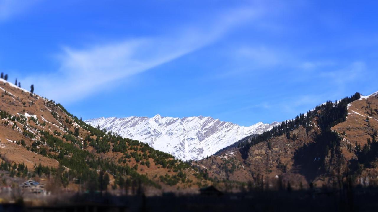 The Hillbilly's * Manali (Himachal Pradesh)