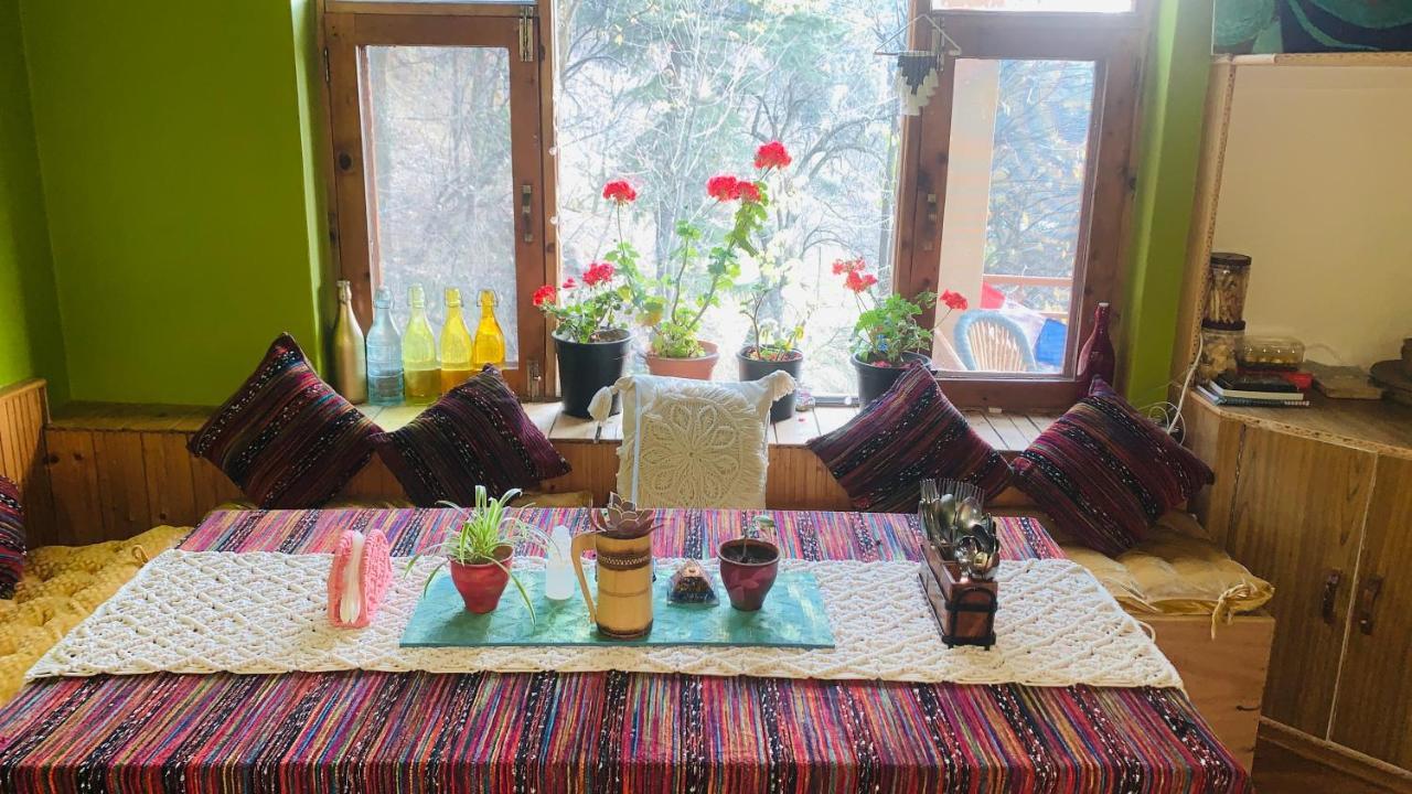 Lodge Sehar Boutique & Gallery *
