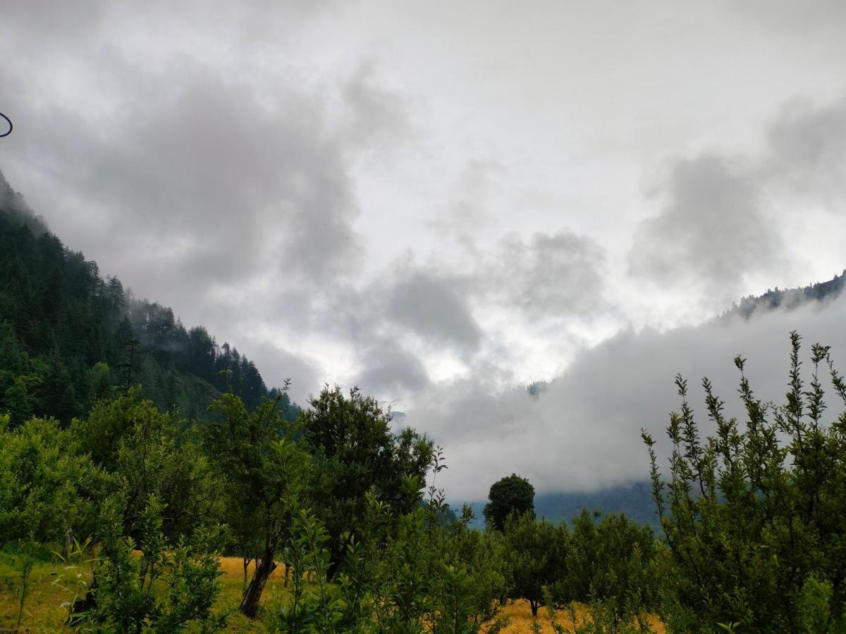 The Wanderlust Manali (Himachal Pradesh)