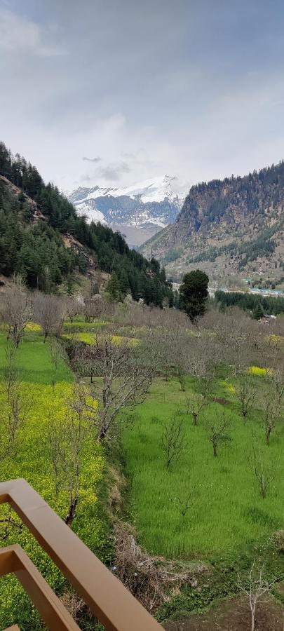 The Wanderlust Manali (Himachal Pradesh)