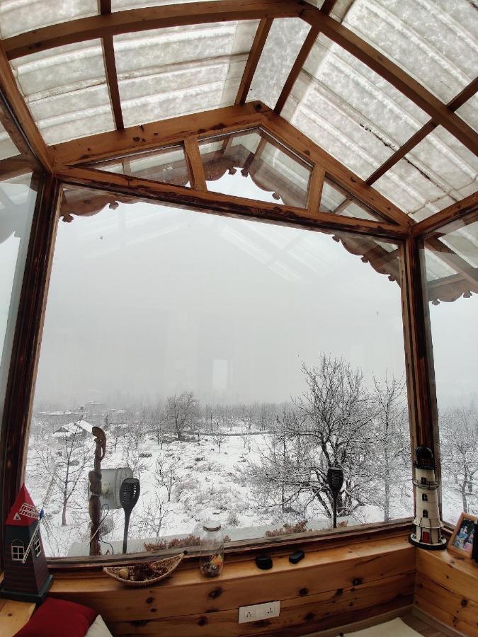 Chalet Shanag Manali (Himachal Pradesh)