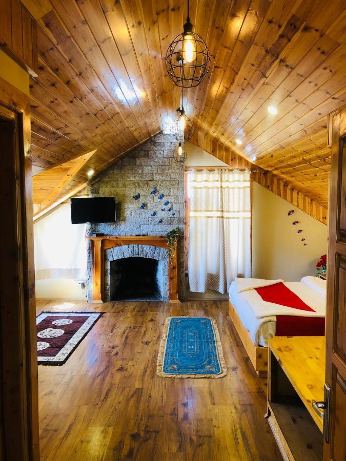 Chichoga Heights 3* Manali (Himachal Pradesh)