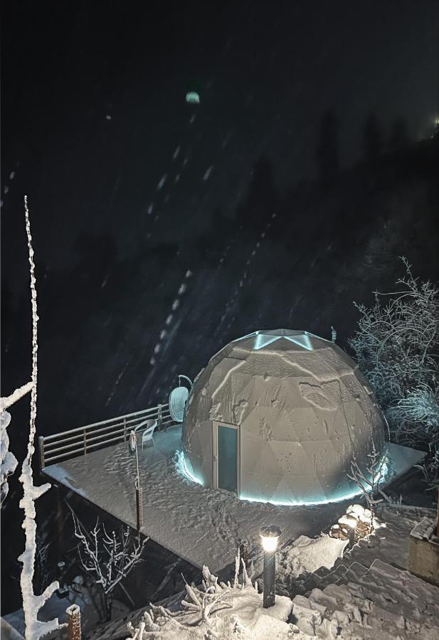 Glamping Club 4* Manali (Himachal Pradesh)