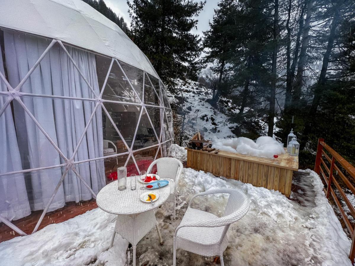 Glamping Club Hotel Manali (Himachal Pradesh)