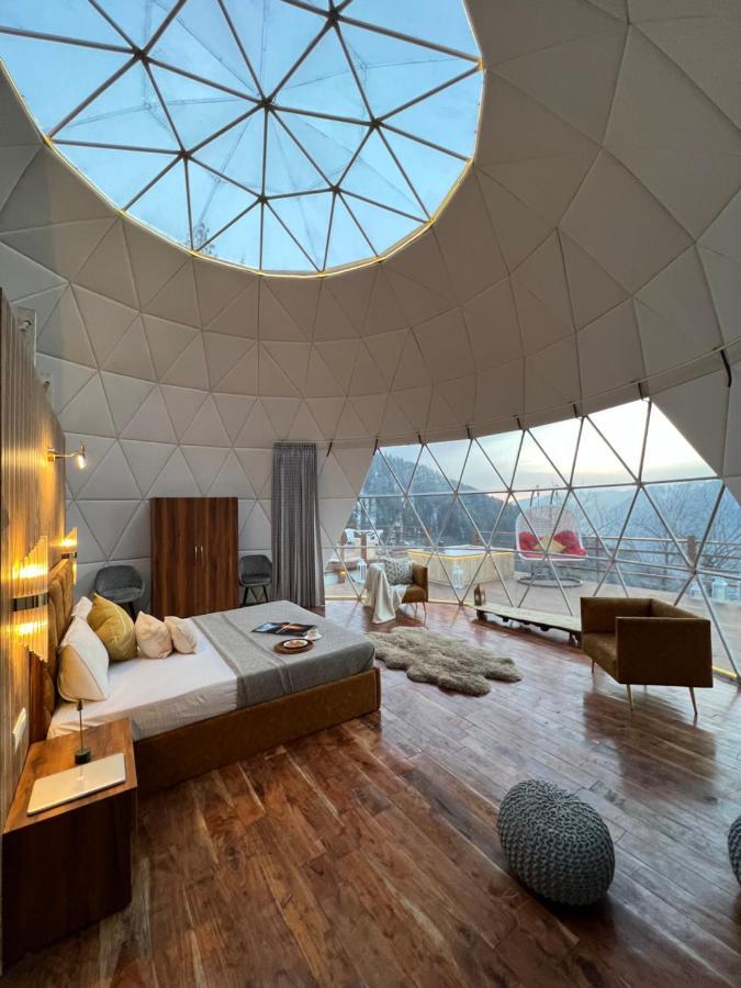 Glamping Club 4* Manali (Himachal Pradesh)