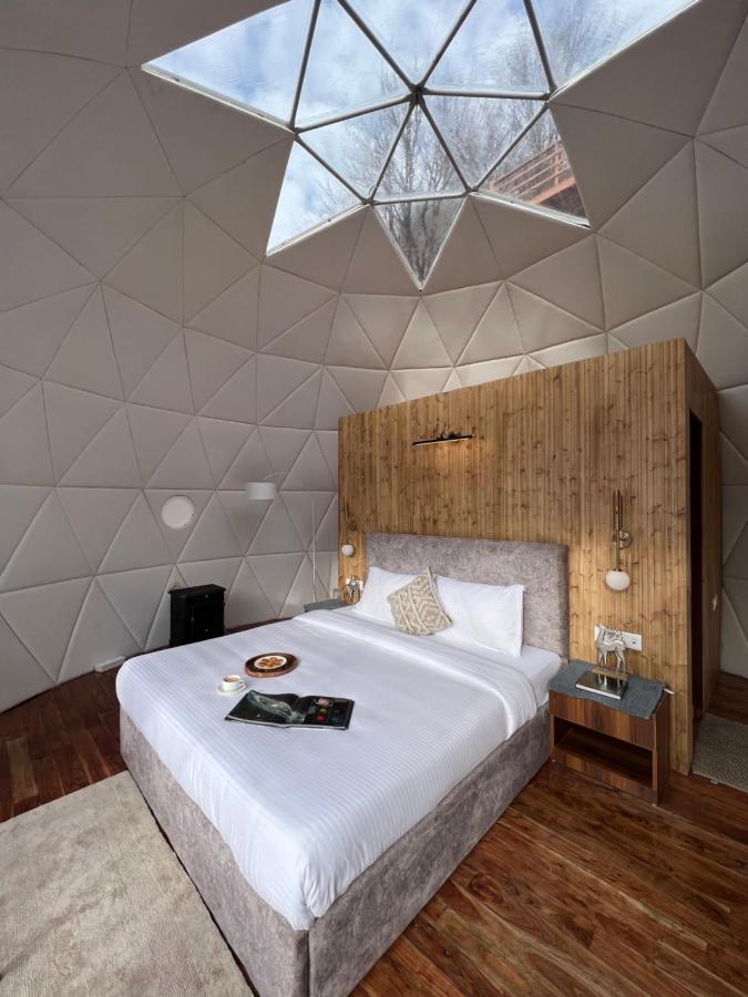 Glamping Club 4* Manali (Himachal Pradesh)