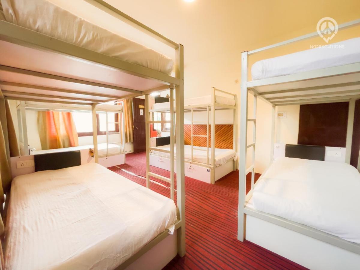 Backpacker Panda, Hostel *