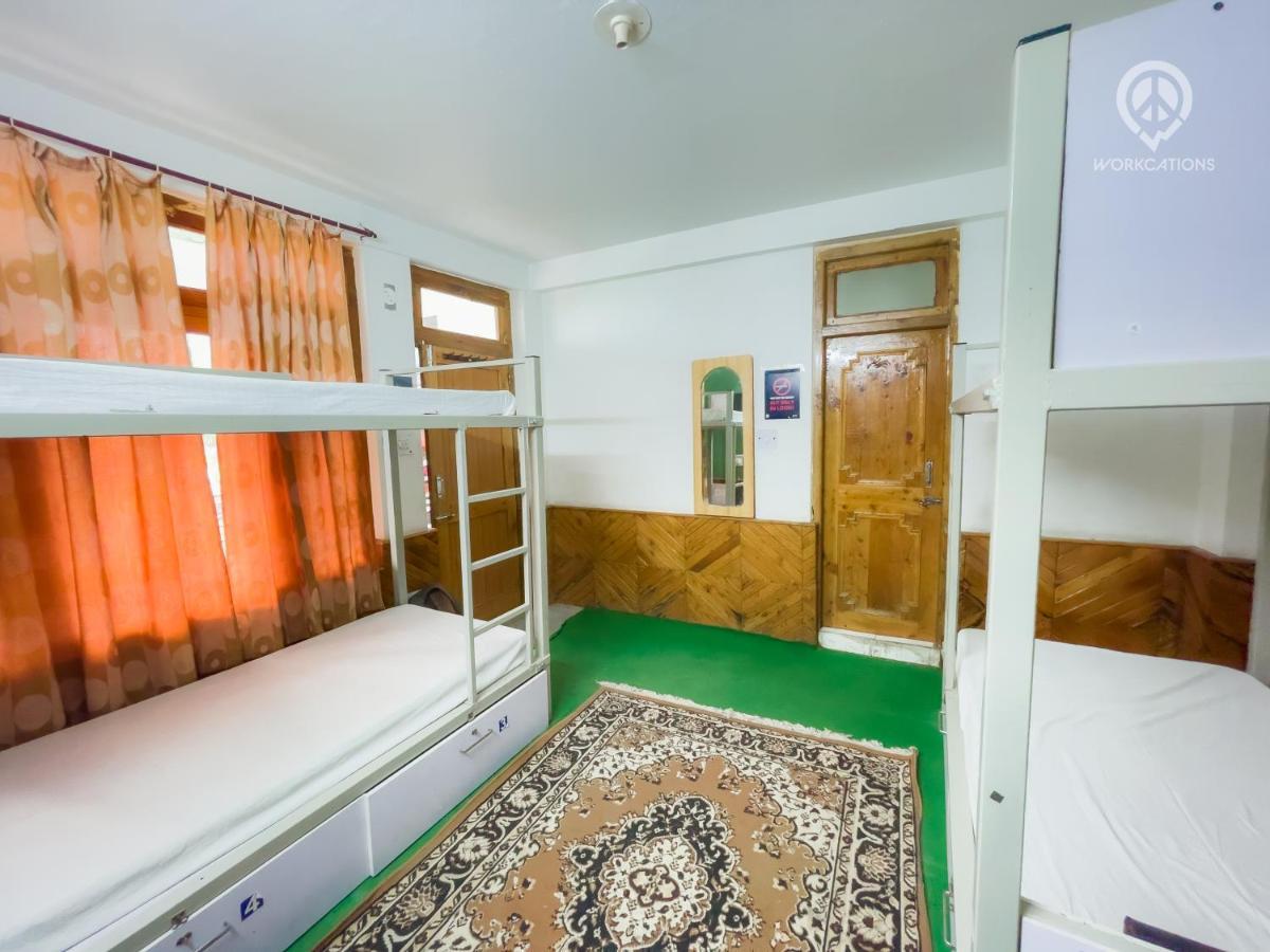 Hostel Backpacker Panda,