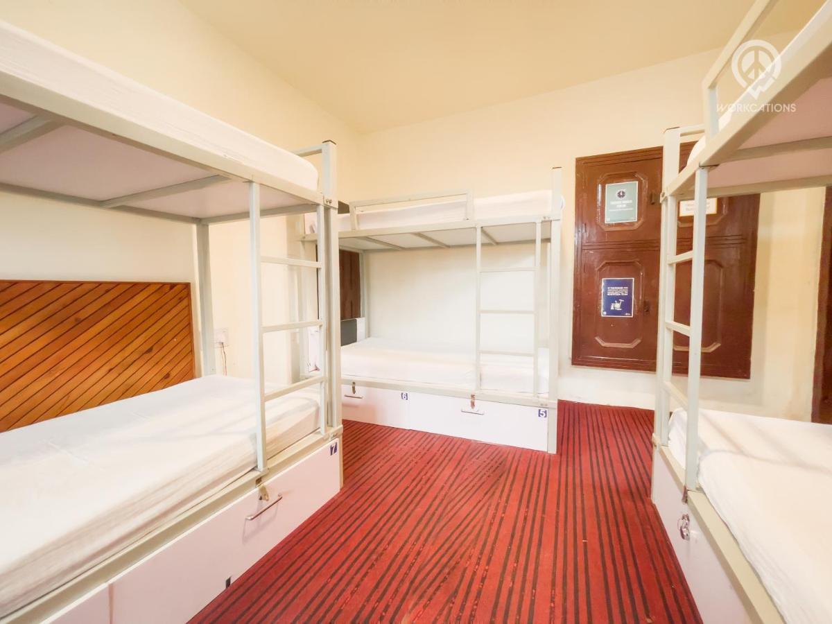 Hostel Backpacker Panda,