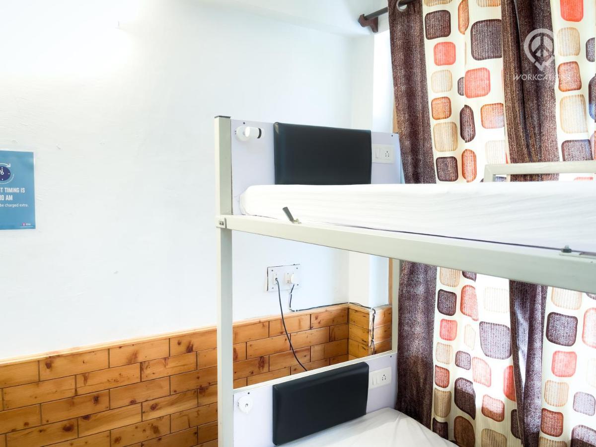 Backpacker Panda, Hostel