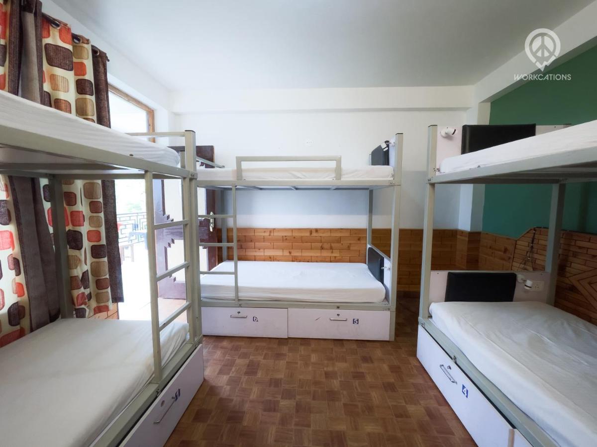 Hostel Backpacker Panda, *