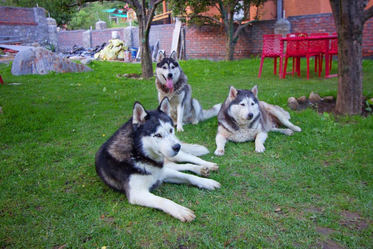 The Husky And Cafe