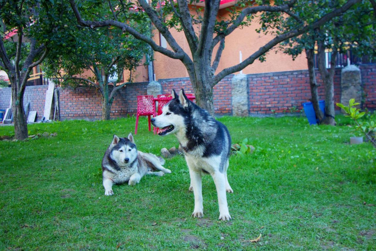 The Husky And Cafe Hotel 3*