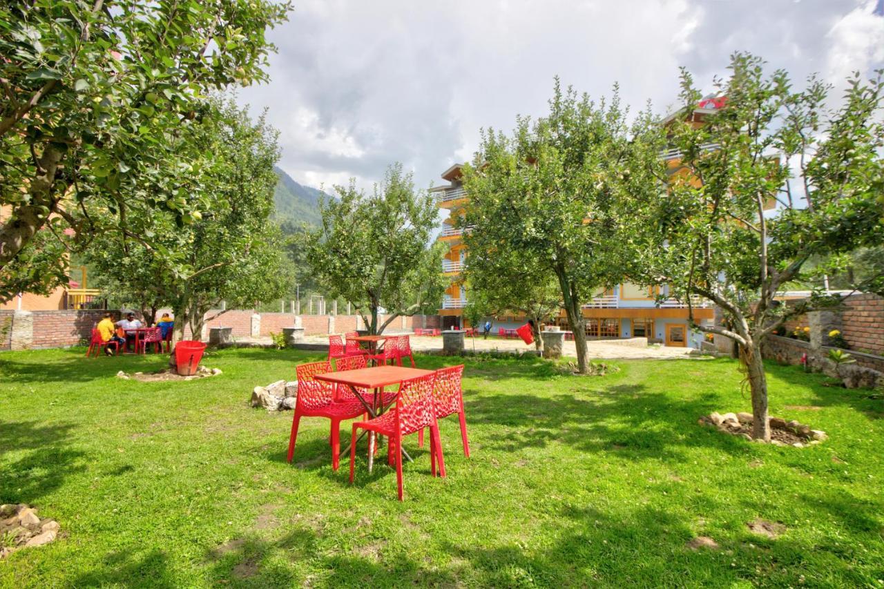 The Husky And Cafe Manali (Himachal Pradesh)