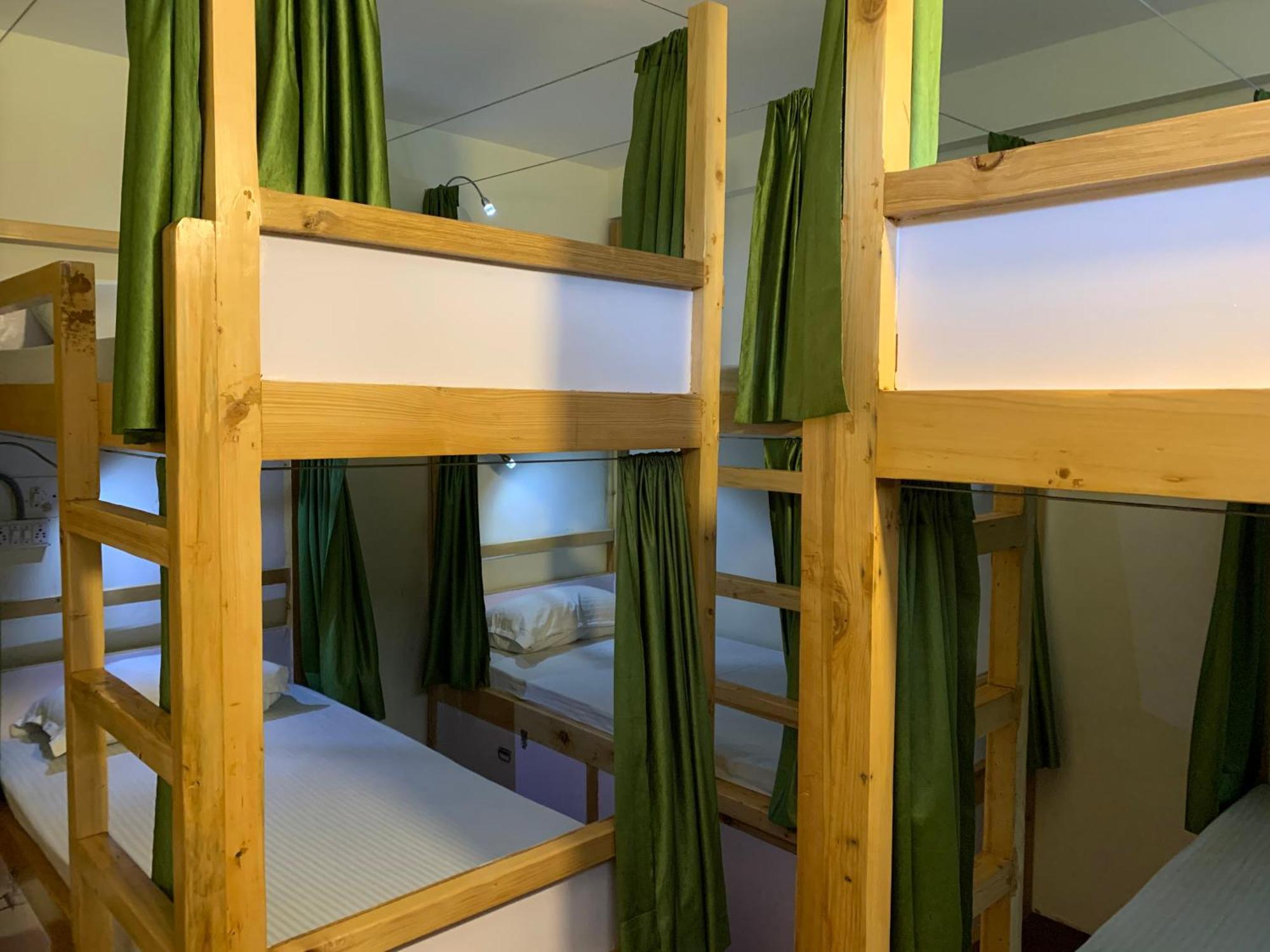 Jungle By Sturmfrei Hostel