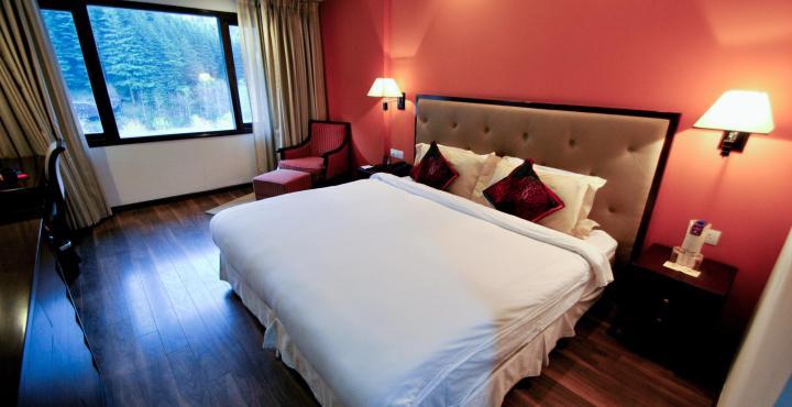Rock 4* Manali (Himachal Pradesh)