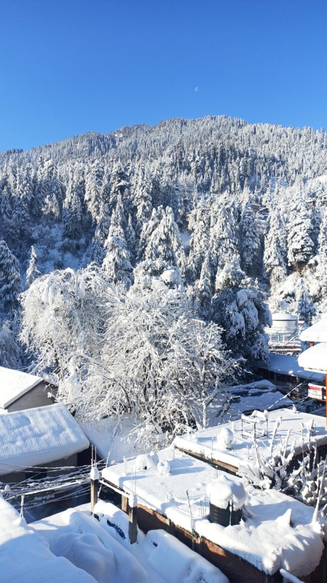 Wood Stone Homestay Guest house Manali (Himachal Pradesh)