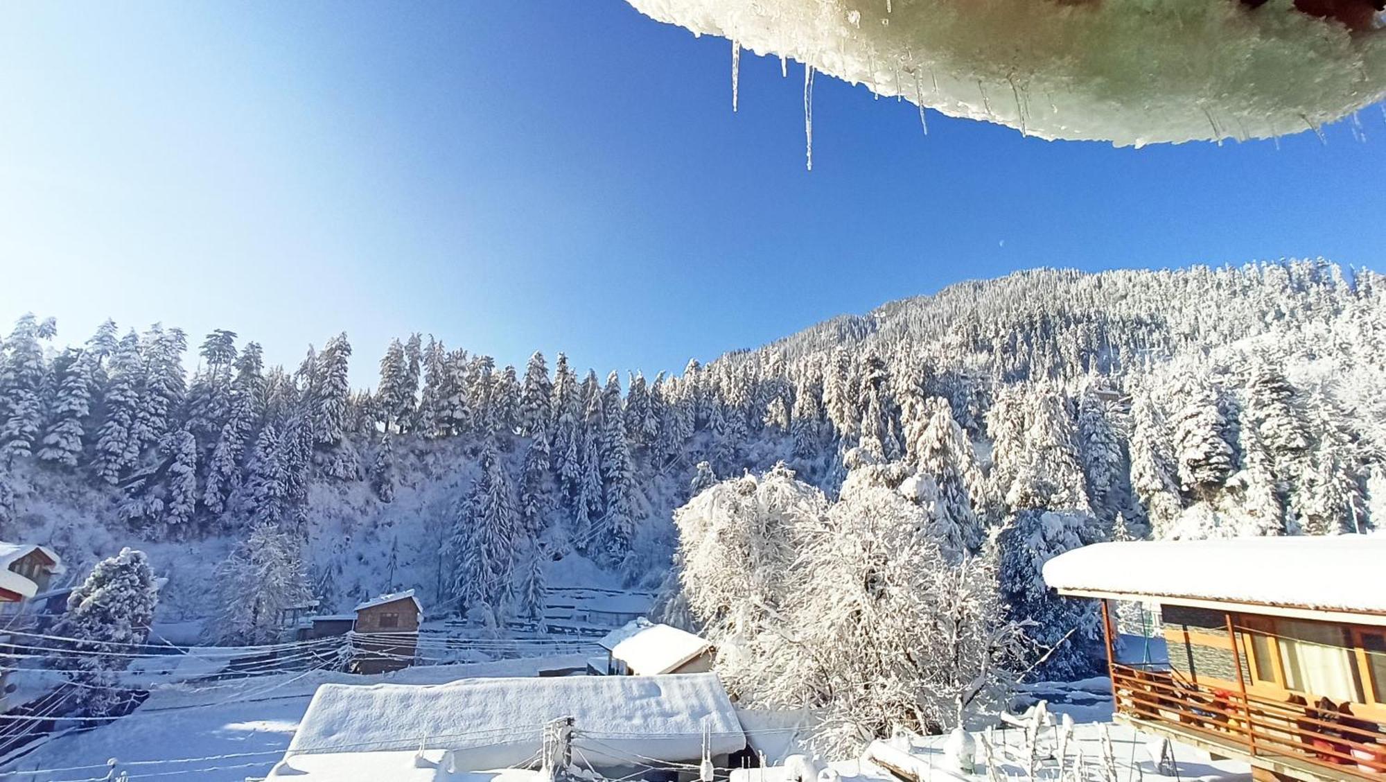 Wood Stone Homestay Manali (Himachal Pradesh)