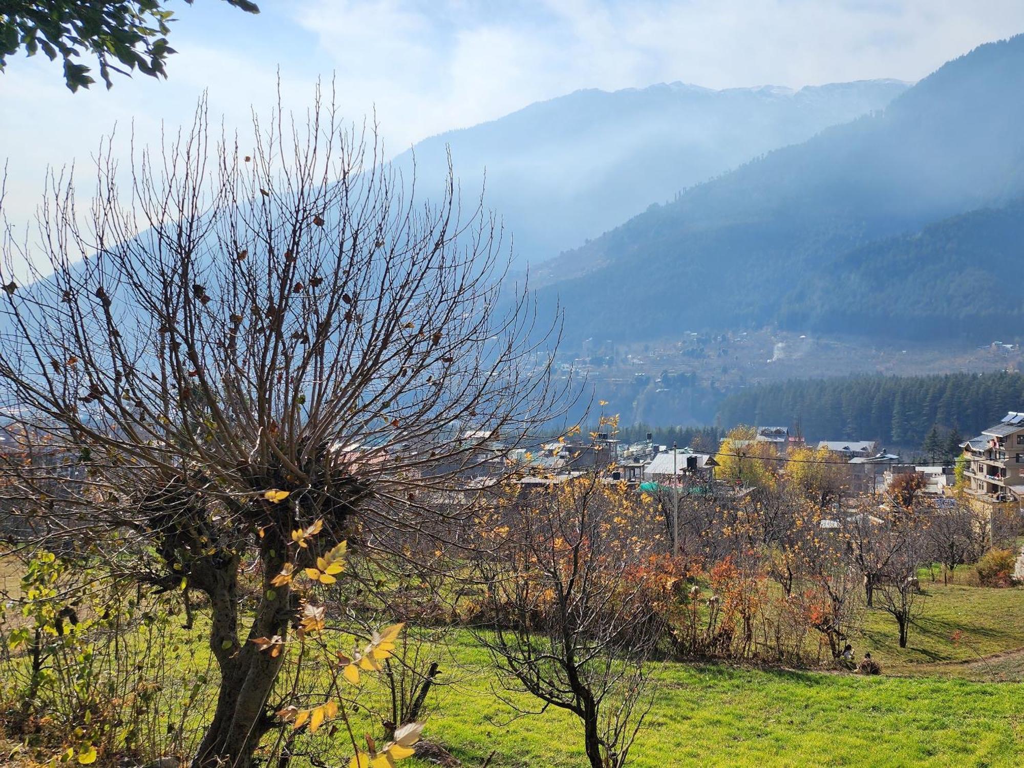 The Homstel * Manali (Himachal Pradesh)