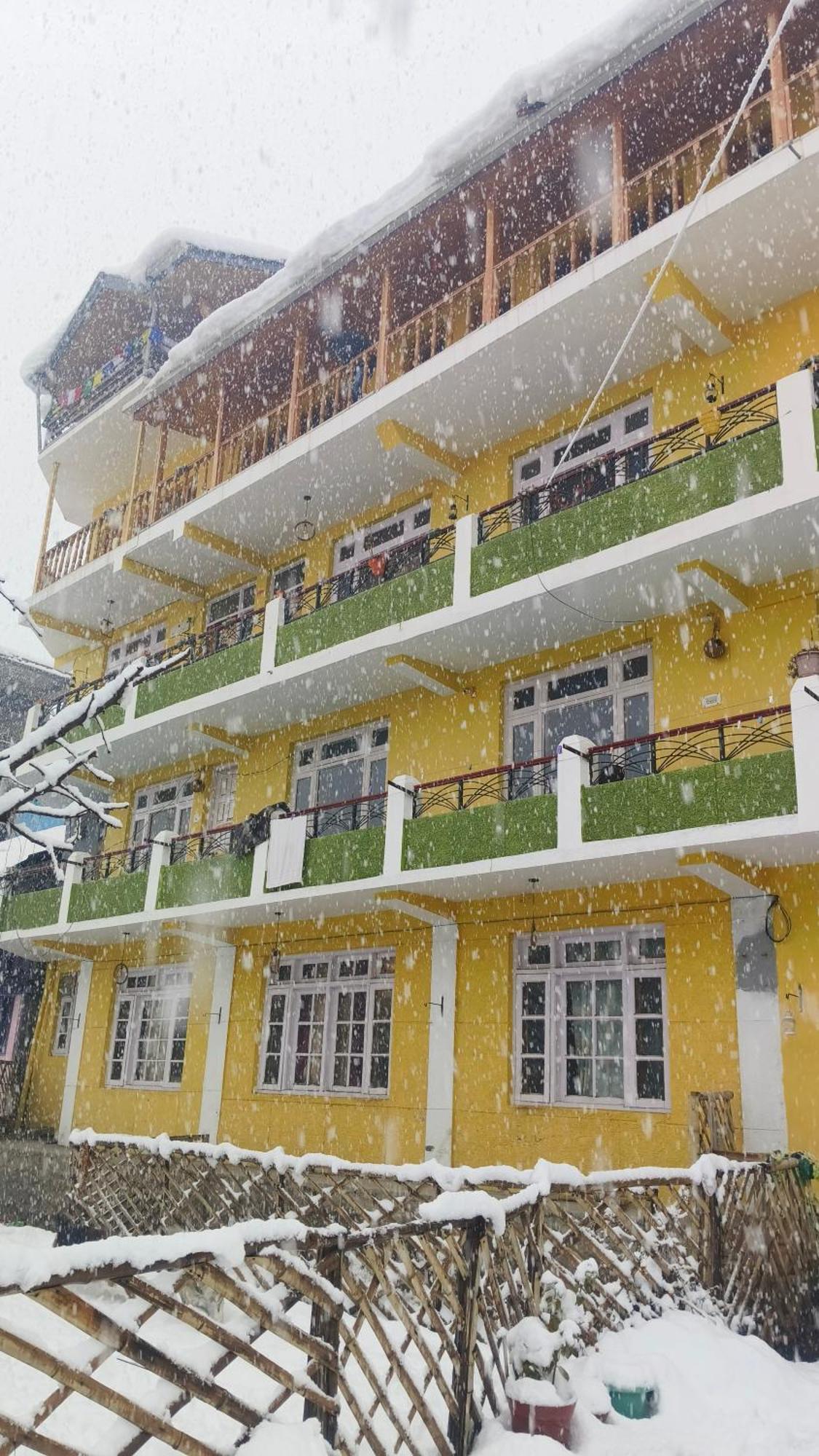 The Homstel Hostel *