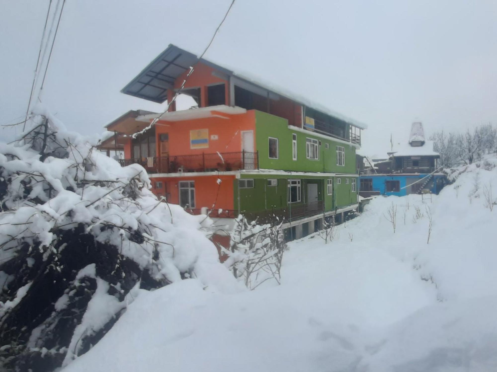 The Homstel Hostel *