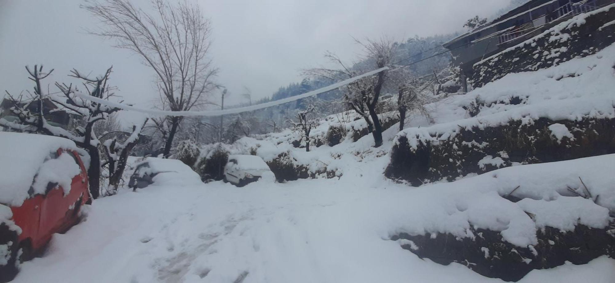 The Homstel Hostel Manali (Himachal Pradesh)