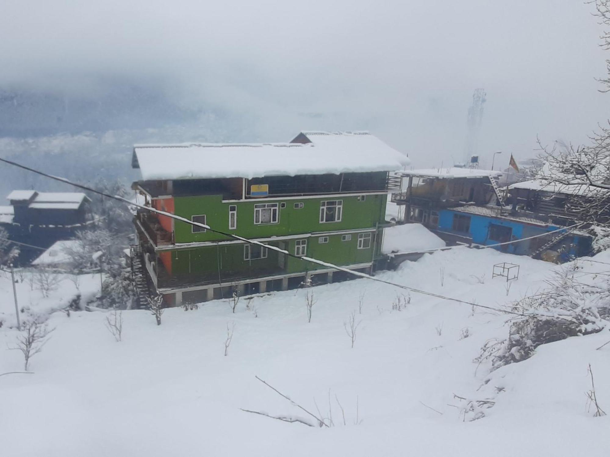 The Homstel Hostel *