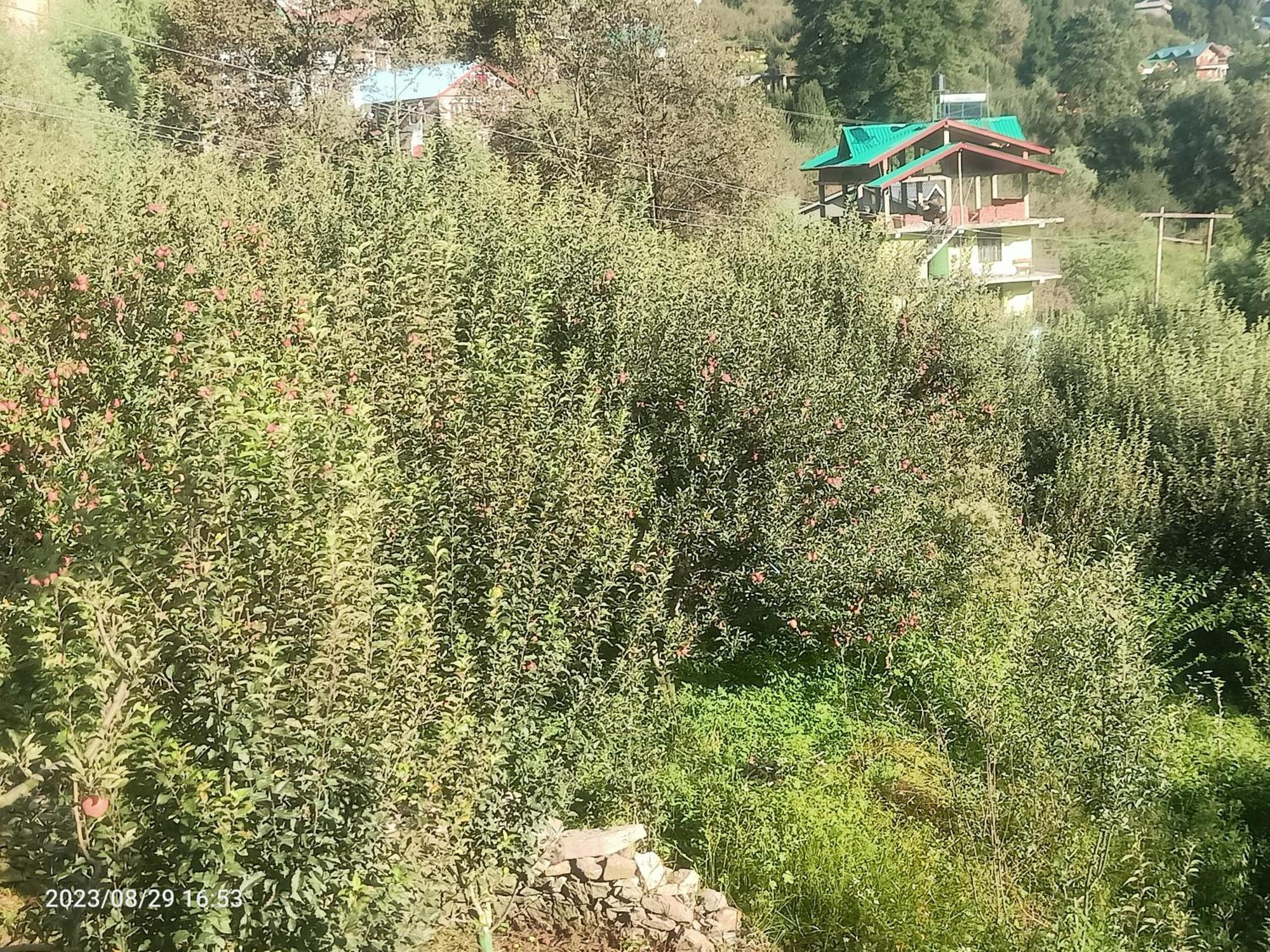 Lotus Retreat Farm stay