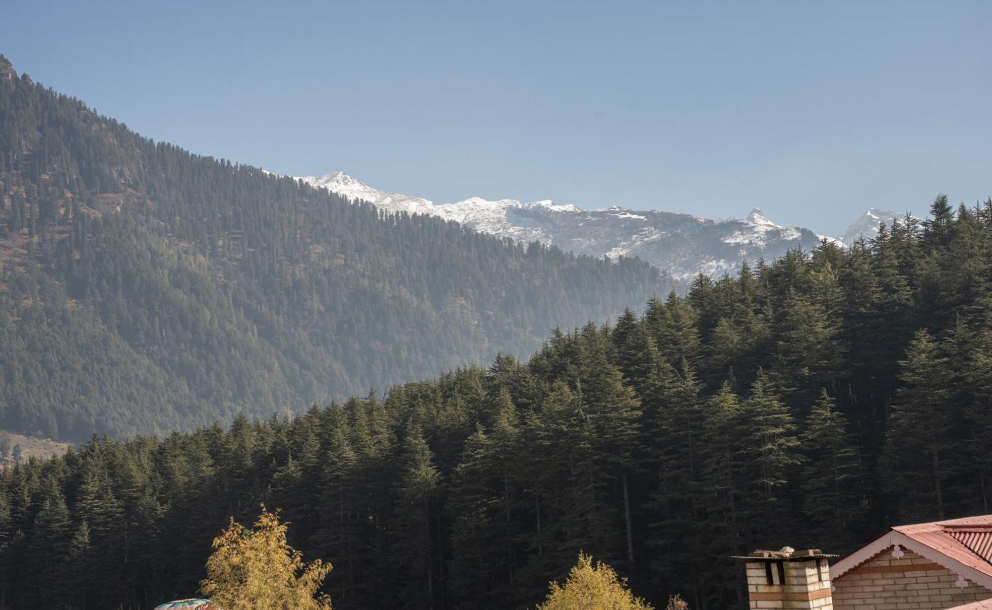 Hotel The Conifer