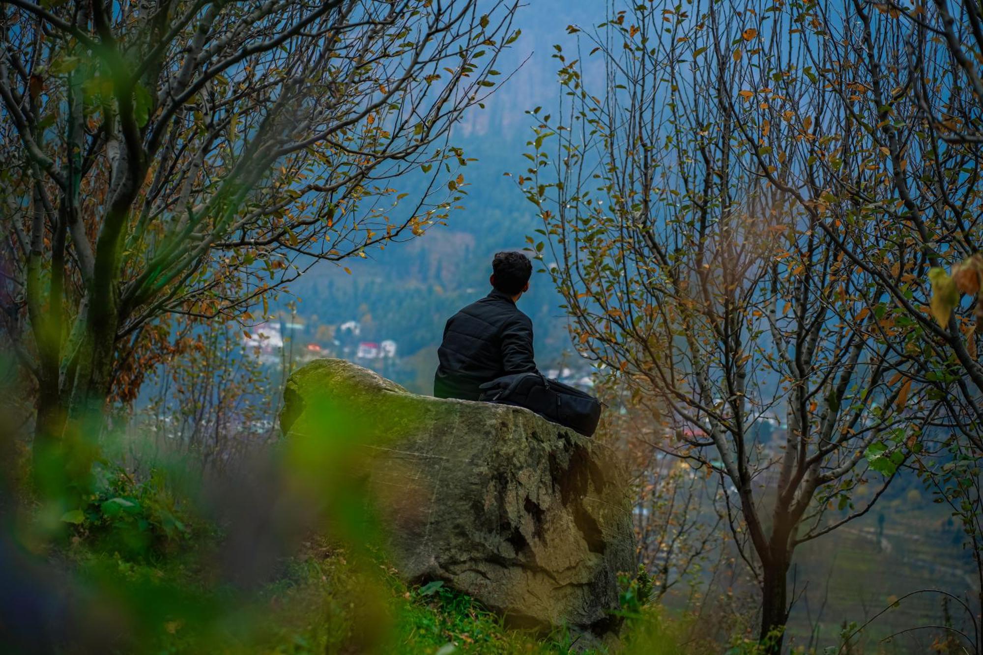 Yaarana & Cafe, Vashisht,