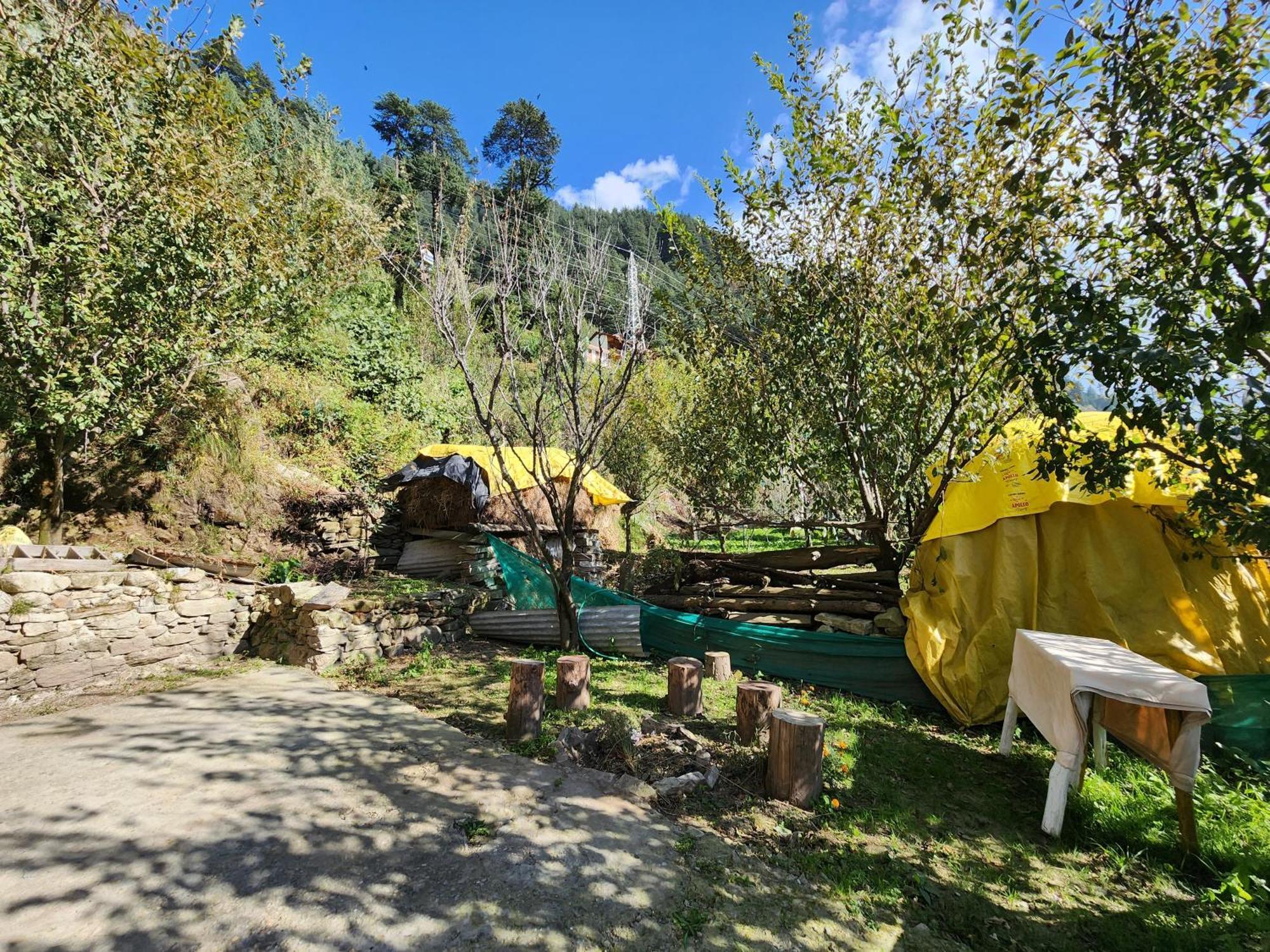 Homestay Safarnama Homestay - With Mountain And Sunset View Manali (Himachal Pradesh)
