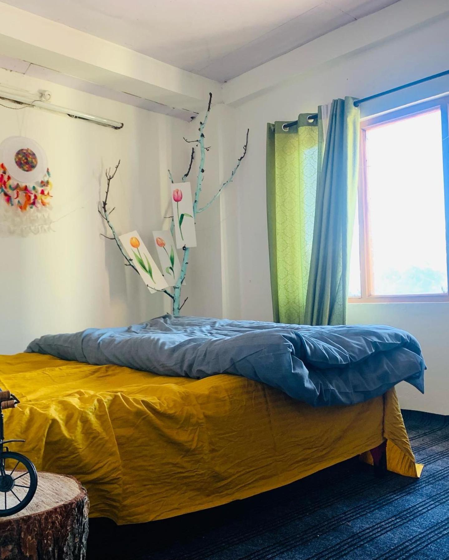The Ivy House Sethan Homestay Manali (Himachal Pradesh)