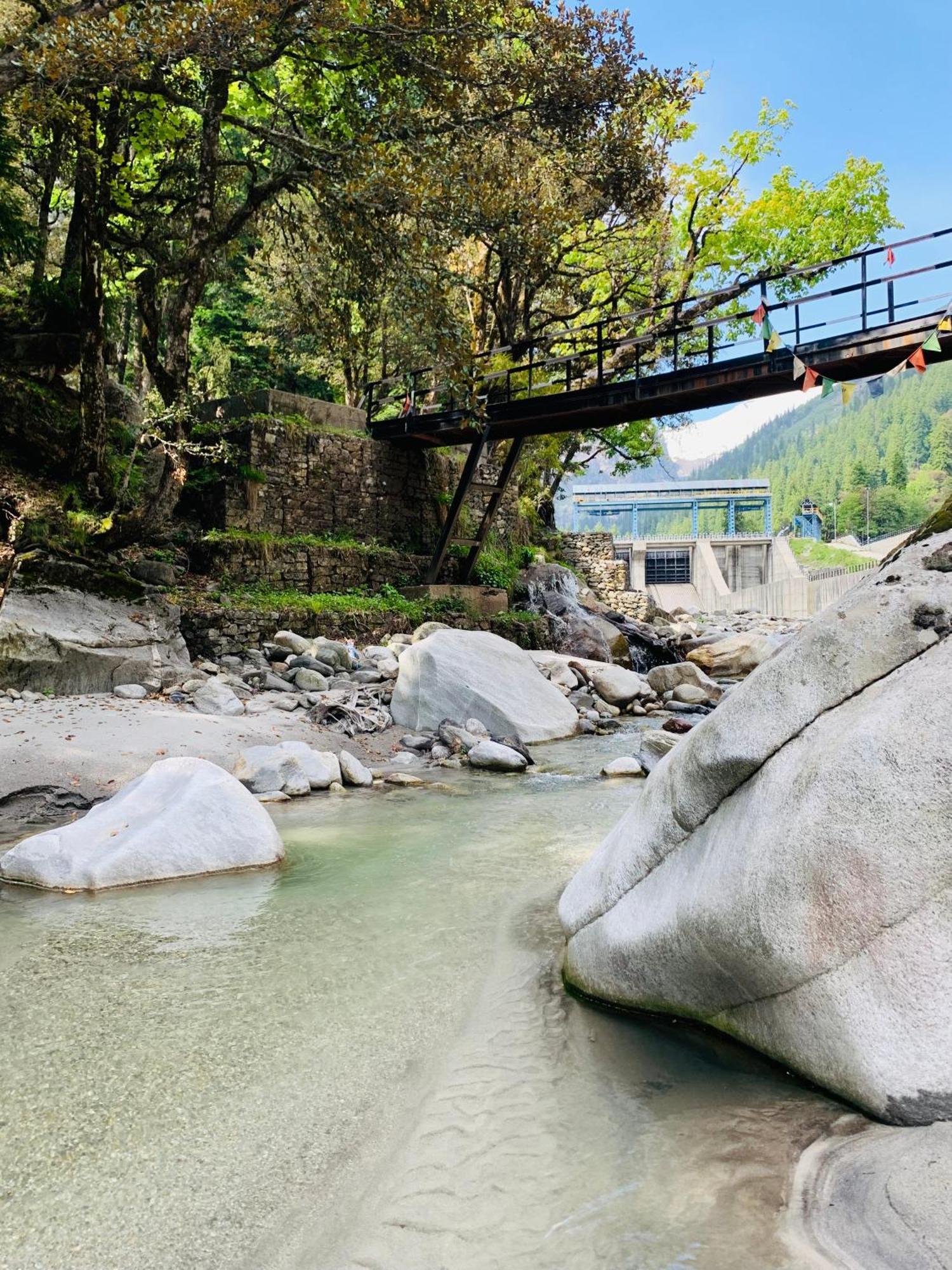 The Ivy House Sethan Manali (Himachal Pradesh)