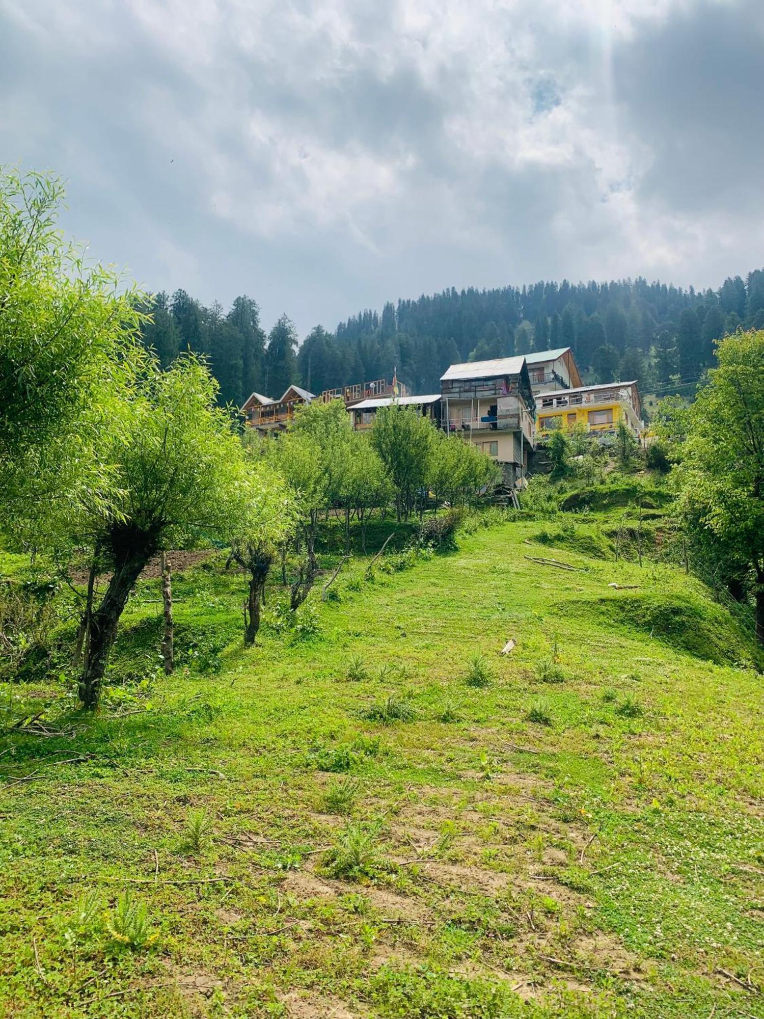 Homestay The Ivy House Sethan Manali (Himachal Pradesh)